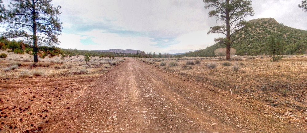 leaving a Pine Forest for semi-arid Shrub and Cedar.